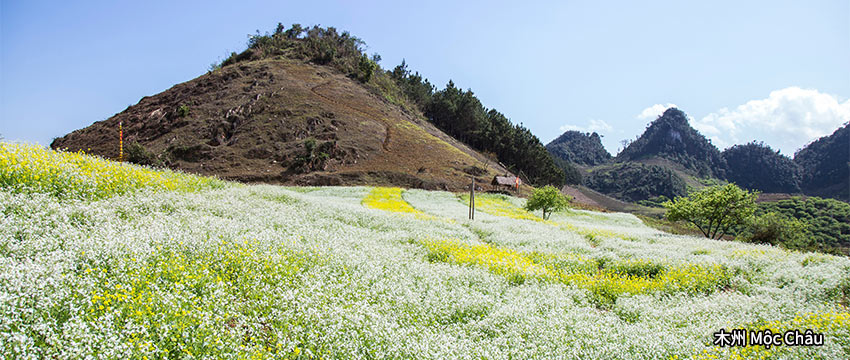 木州